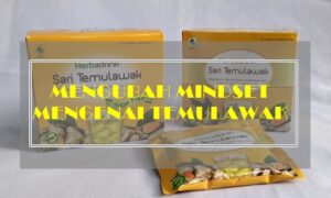 Mengubah Maindset Mengenai TemuLawak